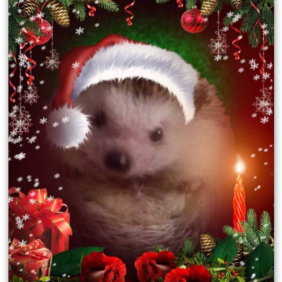 Meet your Posher, Christine - Picture 3 of 9